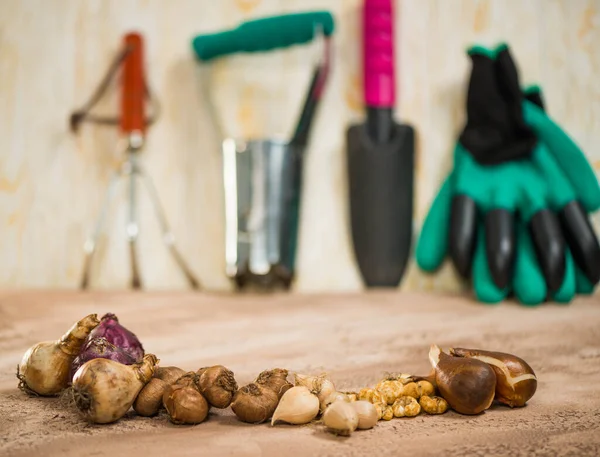 Blommor Och Trädgårdsredskap Över Abstrakt Strukturerad Bakgrundsyta — Stockfoto