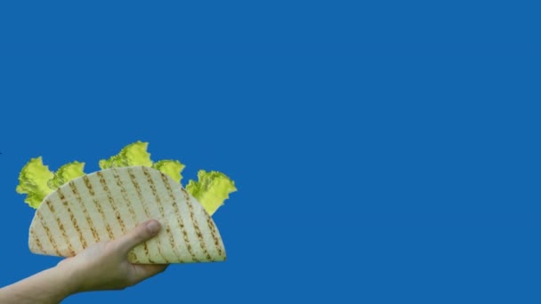 男子手持玉米饼 蓝色屏幕上塞满蔬菜 — 图库视频影像