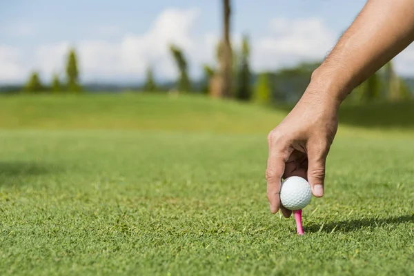 Männlicher Caddie Setzt Golfball Auf Rosa Stift — Stockfoto