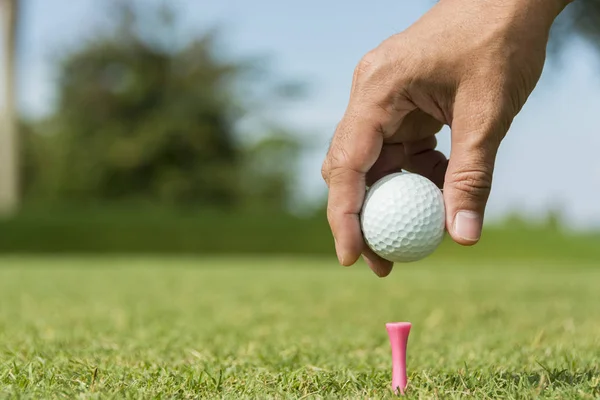 Männlicher Caddie Setzt Golfball Auf Rosa Stift — Stockfoto