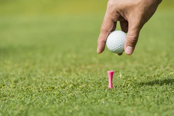 Mannelijke Caddie Golfbal Zetten Roze Peg — Stockfoto