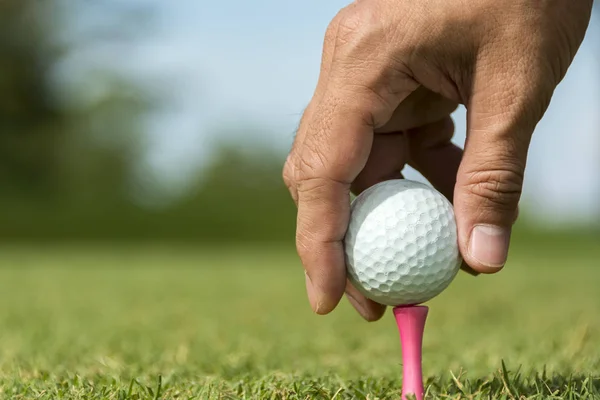 ピンク色のペグにゴルフボールを置く男性キャディー ストック画像