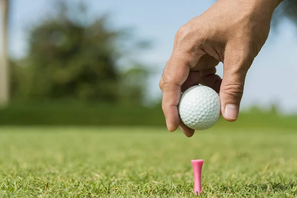 ピンク色のペグにゴルフボールを置く男性キャディー ロイヤリティフリーのストック写真
