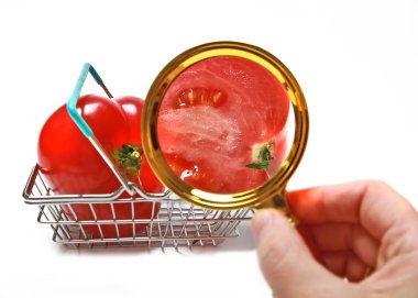 Domates alışveriş sepetinde bir büyüteç ile yakın çekim. Doğru ürünleri seçin
