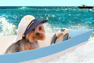 Kaptan şapkalı bir köpek denize karşı bir teknede oturur. Kolaj.
