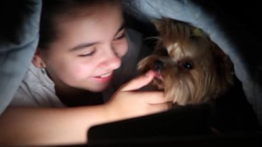 Bir köpek ile oynarken bir battaniye altında telefon ile Mutlu genç kız