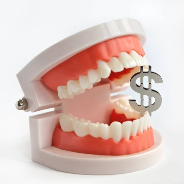 Sinal Dólar Entre Dentes Disposição Mandíbula Homem Odontologia Paga — Fotografia de Stock