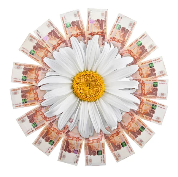 ロシアの紙幣は デイジーと中央の円の中に横たわっています — ストック写真