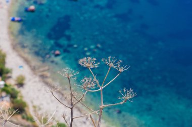 Isola Bella Taormina, Sicilya, İtalya için görünümünü