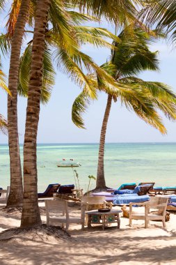 Hindistan cevizi palmiyeli ve denizli kumsal