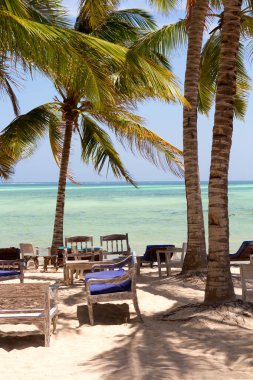 Hindistan cevizi palmiyeli ve denizli kumsal