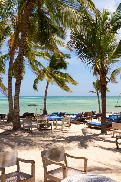 Plaża Palmą Kokosową Morzem — Zdjęcie stockowe
