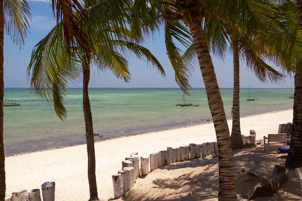 Strand Med Kokospalm Och Hav — Stockfoto