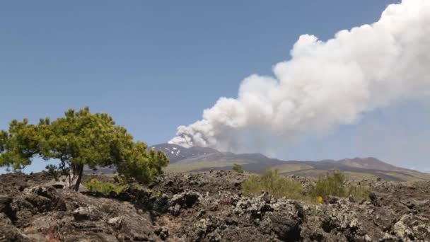 Vulkanen Etna Vulkanen Explosion Och Lavaflöde Sicilien — Stockvideo