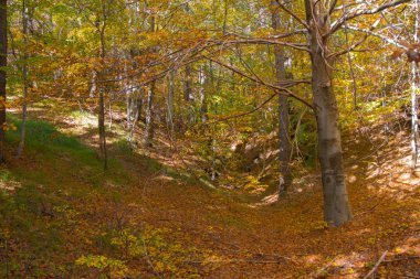 Sicilya Etna Yanardağı sonbahar sezon
