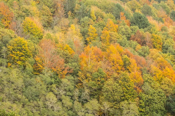 Jesienny Sezon Wulkan Etna Sycylii — Zdjęcie stockowe