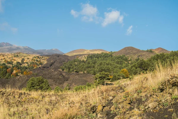 Sicilya Etna Yanardağı Sonbahar Sezon — Stok fotoğraf