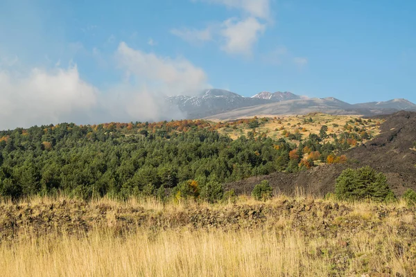 Podzimní Sezóna Sopce Etna Sicílii — Stock fotografie