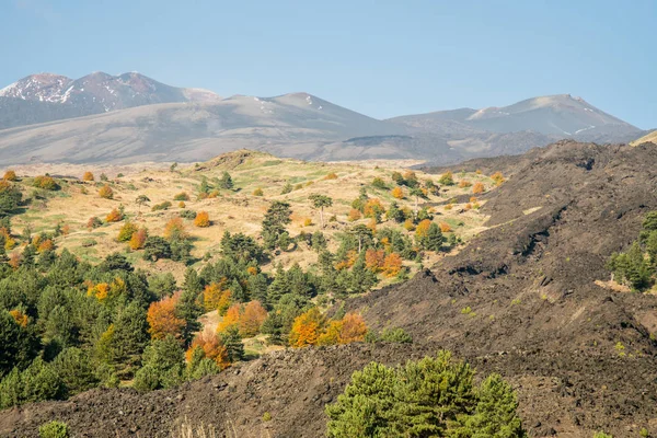 Podzimní Sezóna Sopce Etna Sicílii — Stock fotografie