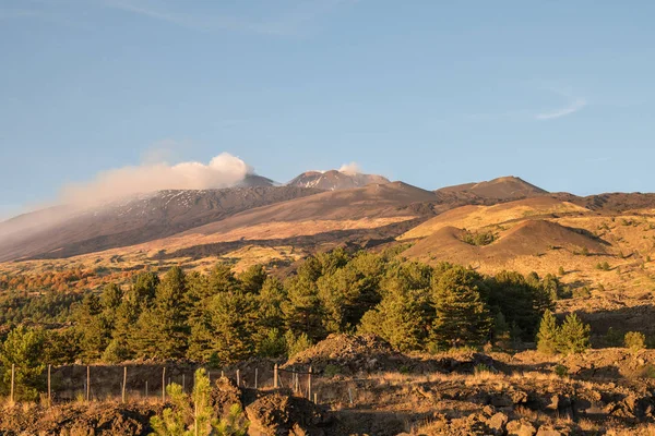 Färgglada Skogar Och Lavaströmmar Höstsäsongen Etna Vulkanen Sicil — Stockfoto