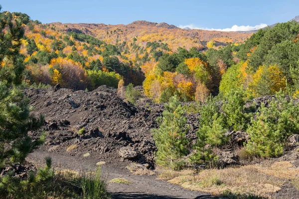 Die Farbenfrohen Wälder Und Lavaströme Der Herbstsaison Vulkan Ätna Sicil — Stockfoto