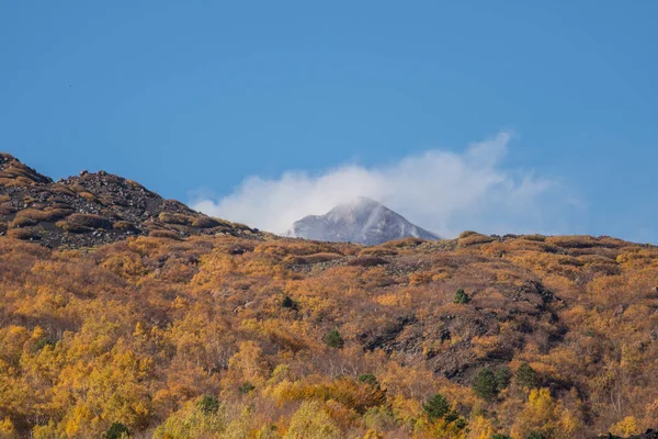 Barevné Lesy Lávové Proudy Podzimní Sezóně Sopce Etna Sicil — Stock fotografie