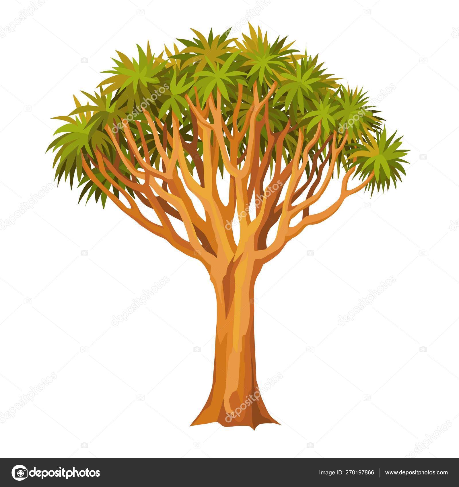 Animation Tree Dragon Dragon Blood Tree Sacred Rare Plant Africa Vector Image By C Roomyana Vector Stock Animation Tree Dragon Dragon Blood Tree Sacred Rare Plant Africa Vector Image By C Roomyana Vector Stock