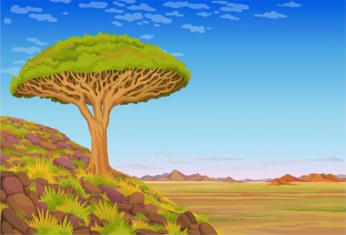 Animasyon manzara: tepede bir ejderha kan ağacı, Afrika vadisi, dağlar, bulutlu gökyüzü. Metin için yerleştirin. Vektör çizimi. 