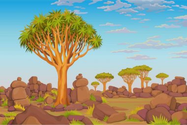 Animasyon manzara: bir ejderha kan ağacı, Afrika Vadisi, bulutlu gökyüzü. Vektör Illustration. 