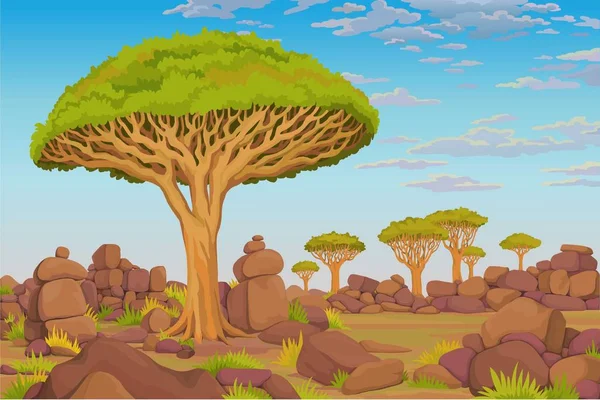 Animationslandschaft Drachenblutbaum Afrikanisches Tal Wolkenverhangener Himmel Vektorillustration — Stockvektor