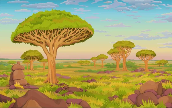Animationslandschaft Afrikanisches Tal Drachenblutbäume Verdorrtes Gras Bewölkter Himmel Cartoon Hintergrund — Stockvektor