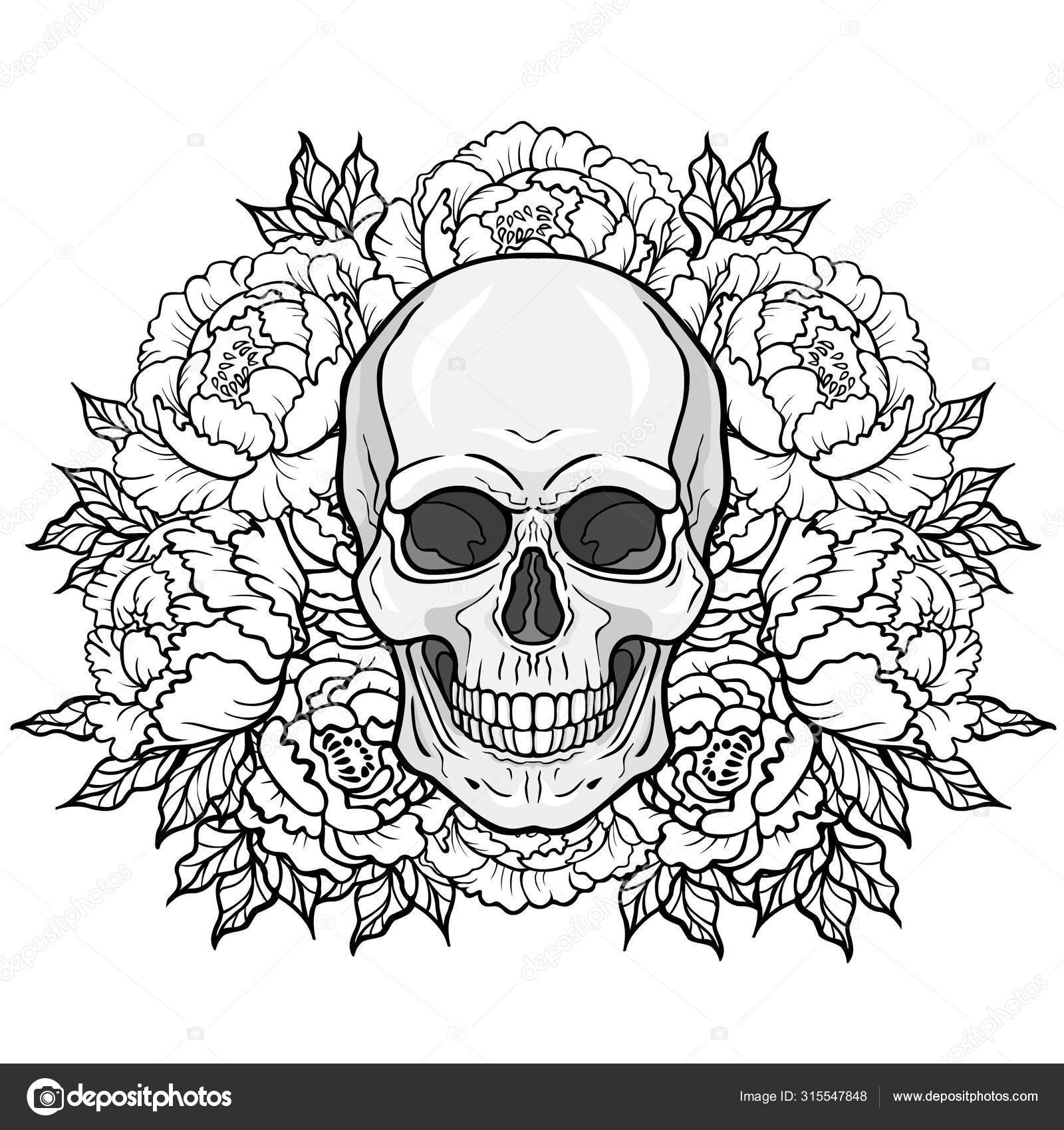 Floral Witch Skull Elements antique illustrations of human skulls and flowers PNG clipart instant download for commercial use