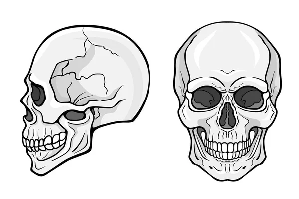 人間の頭蓋骨正面ビュープロフィールビューモノクロームベクトル図白地に孤立 — ストックベクタ