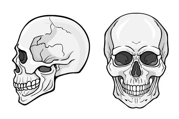 Ludzka Czaszka Widok Przodu Widok Profilu Monochromatyczna Ilustracja Wektora Izolowana — Wektor stockowy