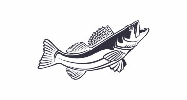 image zander fish on the white background clipart