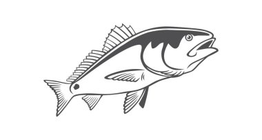Download Drum Fish Free Vector Eps Cdr Ai Svg Vector Illustration Graphic Art
