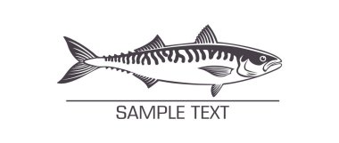 Şekilde görüldüğü bir balık uskumru beyaz zemin üzerine