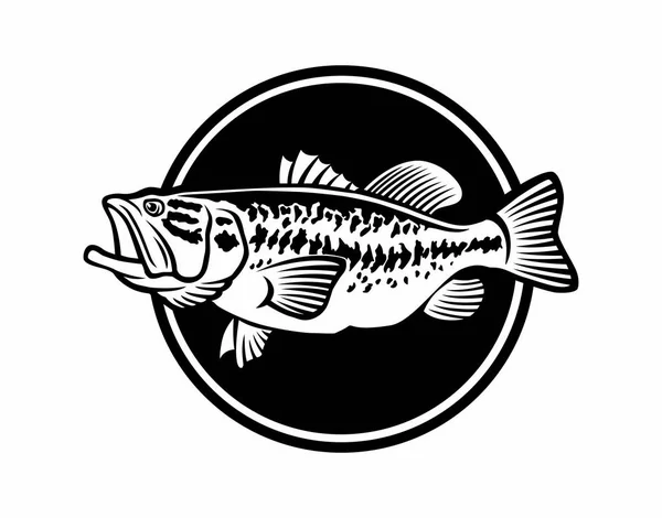 Image Bass Fish White Background — Stock Vector