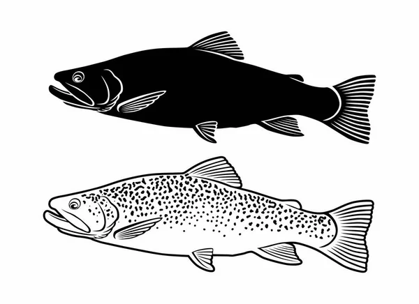 Forellenfische Auf Weißem Hintergrund — Stockvektor