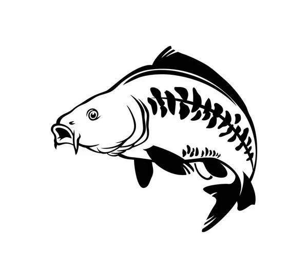 Image Carpe Poisson Sur Fond Blanc — Image vectorielle