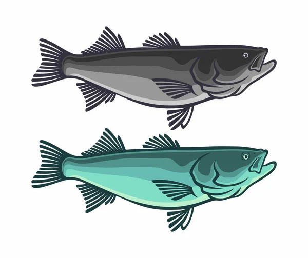 Striped Sea Bass White Background — Stock Vector