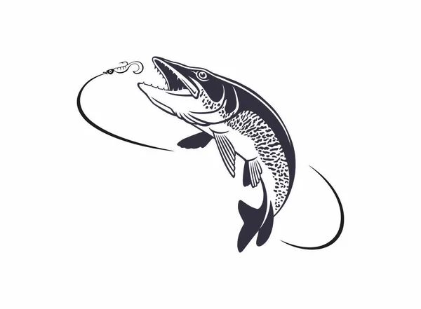 Image Pike Fish White Background — Stock Vector