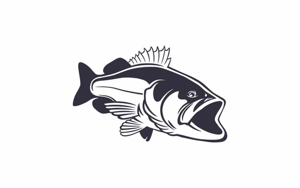 Bass Fish Image White Background — Stock Vector