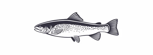 Afbeelding Forel Vissen Witte Achtergrond — Stockvector