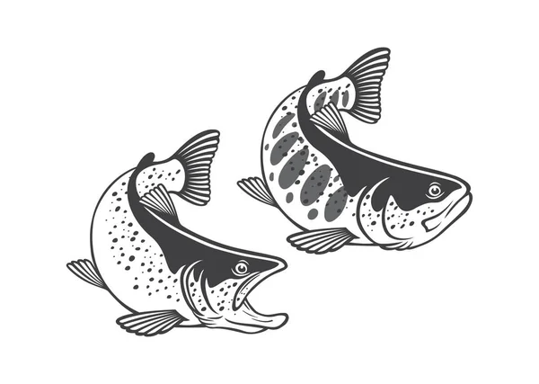 Immagine Trota Pesce Sullo Sfondo Bianco — Vettoriale Stock