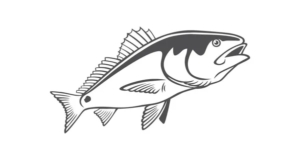 Imagen Tambor Pescado Fondo Blanco — Vector de stock