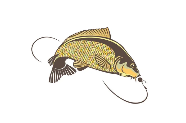 Карп Изображение Рыбы Белом Фоне — стоковый вектор