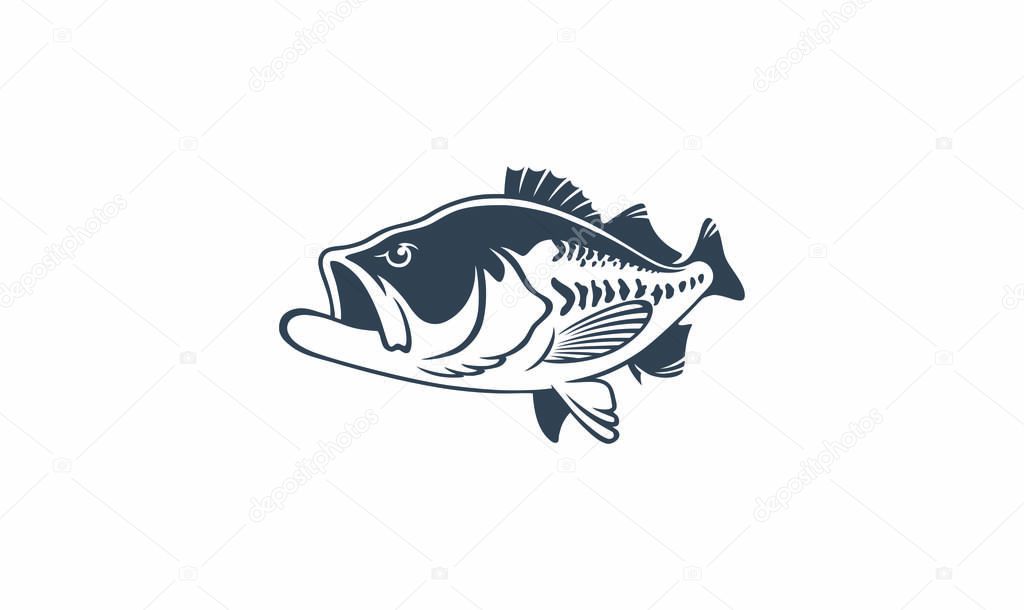 bass fish image on the white background