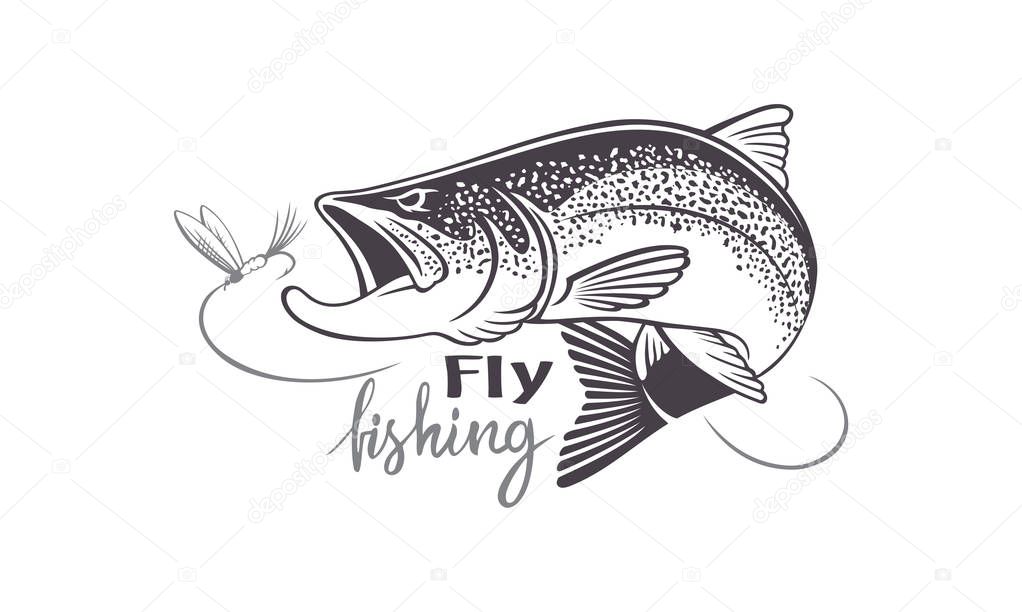 image trout fish icons on the white background