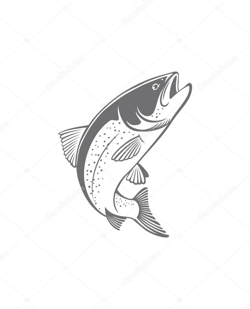 trout fish icons on the white background